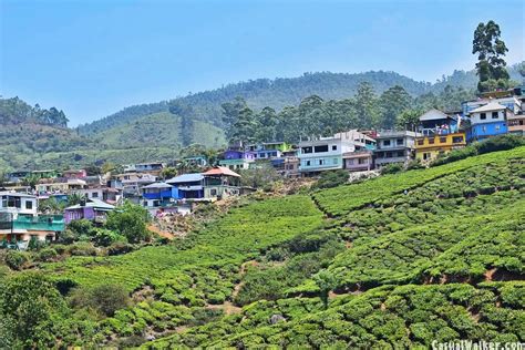 Munnar Hill Station And Tea Plantations Munnar Idukki Kerala Visit Travel Guide — Visiting