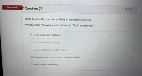 Solved LO38 Explain the function of UTRS in the mRNA | Chegg.com 