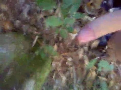 Branlette Gay Porn XHamster