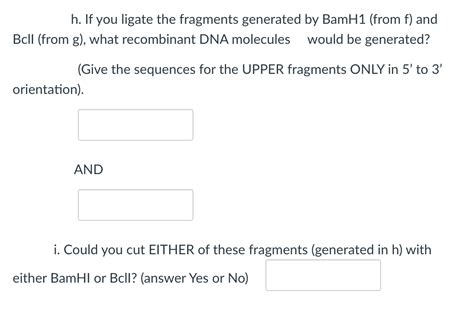 Solved For the DNA shown below, answer the following: 5' | Chegg.com 