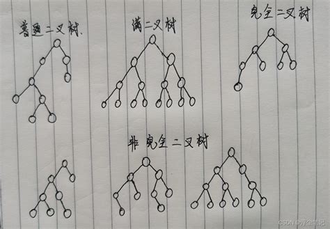 数据结构与算法09：二叉树 Csdn博客
