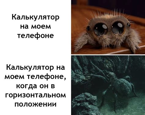 Калькулятор | Пикабу