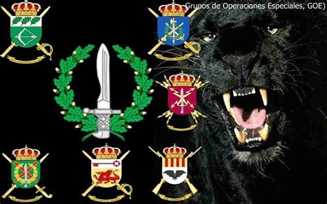 Grupos De Operaciones Especiales Operaciones Especiales Insignias