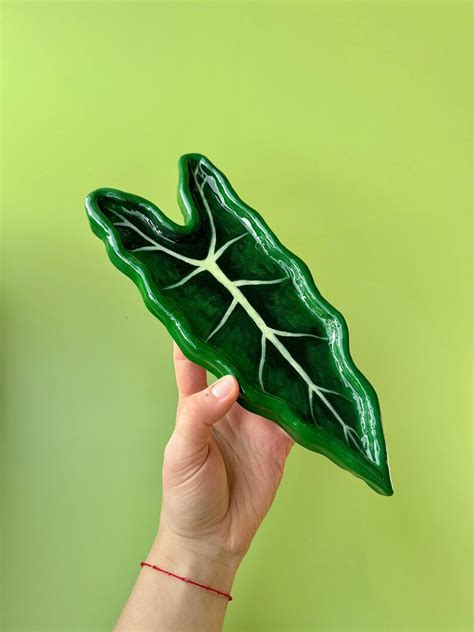 Alocasia Frydek Micholitziana Leaf Clay Trinket Dish Plant Lover Gift