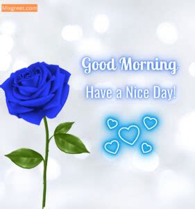 Vibrant Good Morning Roses Images Pics And Photos