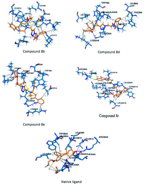 Three Dimensional Illustration Of Docked Ligands Interacting In The