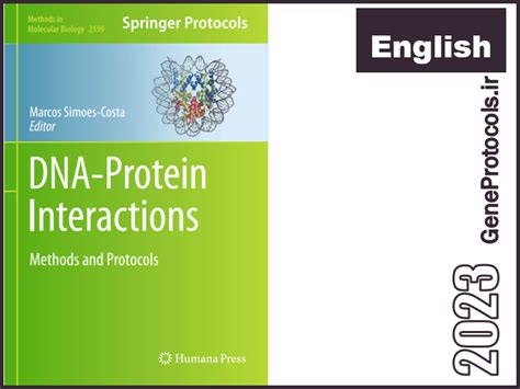 اثرات متقابل دی ان ای و پروتئین روشها و پروتکل ها Dna Protein