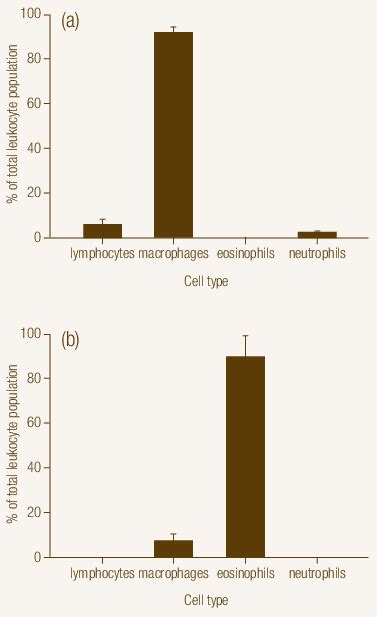 Differential Cell Counts Of A Peritoneal Lavage Cells From Fasciola