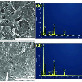 The SEM Images A C And Corresponding EDS Spectra B D Of The Char