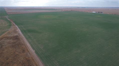 Smith Farms Dryland Quarter Gray County Ks Vaughn Roth Land Brokers