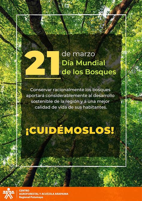 Dia Mundial De Los Bosques Infografias Agencia Efe Infografia Images