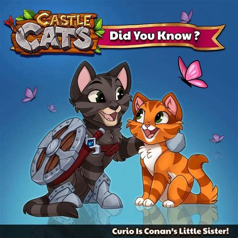 Castle cats Magic Cat, Kitty Games, Cat Character, Fluffy Dogs, Castel ...