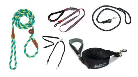 11 Best Dog Leashes: Your Easy Buying Guide (2019) | Heavy.com