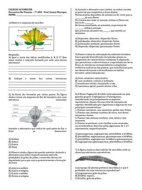 Exercícios Sobre Plantas 7 Ano Com Gabarito - Exercícios sobre Plantas - 7º Ano | PDF | Plantas | Flores