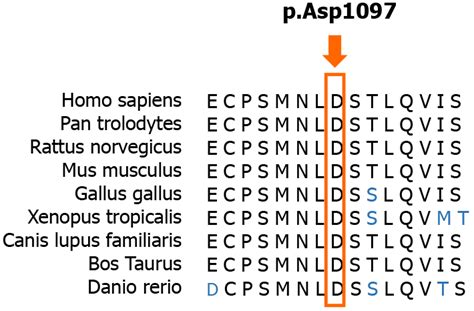 Autosomal recessive spinocerebellar ataxia type 4 with a VPS13D ... 