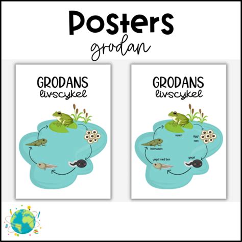 Posters Grodans Livscykel Teach Academy