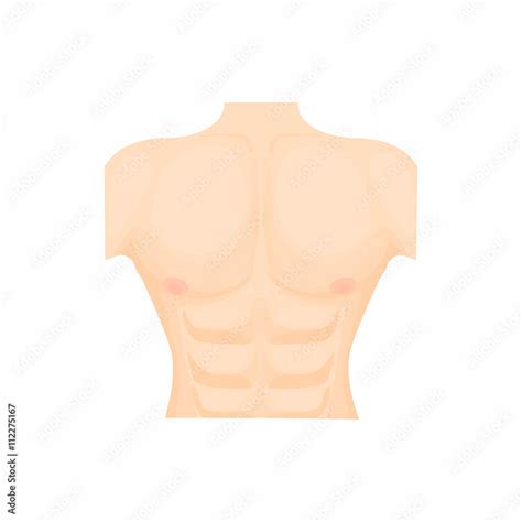 Vecteur Stock Human Chest Icon In Cartoon Style Adobe Stock