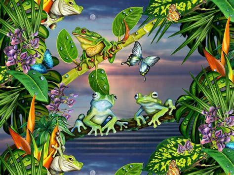 Colorful Frog Wallpapers - Top Free Colorful Frog Backgrounds - WallpaperAccess