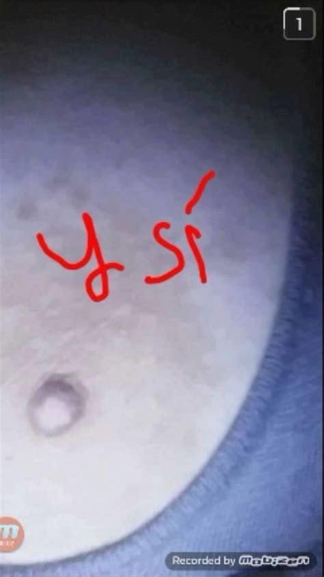 Linda Mega Chichona Porn Pictures XXX Photos Sex Images PICTOA