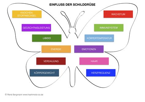 Hashimoto Ernahrung Die Richtige Ernahrung Bei Ha 4