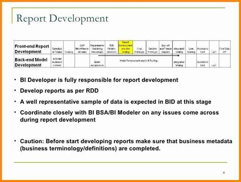 Business Intelligence Report Requirements Template Best Of 8 Reporting