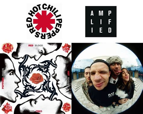 ビートボム Red Hot Chili PeppersレッドホットチリペッパーズAmplifiedアンプリファイドBlood Sugar Sex MagikバンドTシャツ