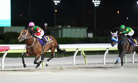 【帝王賞】キングズソードv！上半期のダート中距離王に 藤岡佑介「強い競馬だった」― スポニチ Sponichi Annex ギャンブル