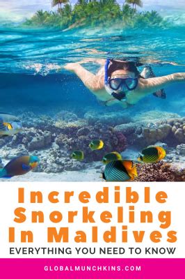 Incredible Snorkeling in Maldives: Everything You Need to Know | Global Munchkins