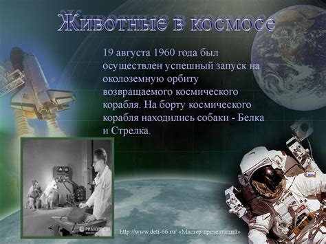 Первые в космосе - презентация онлайн