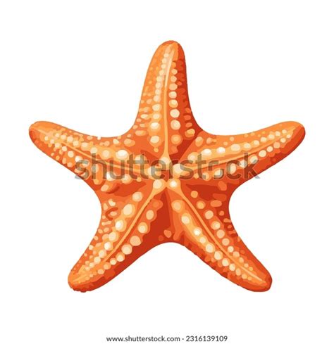 star fish   royalty  licensable stock illustrations