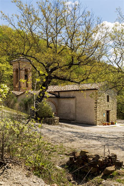 Gallery Tenuta Borgo Santa Cecilia