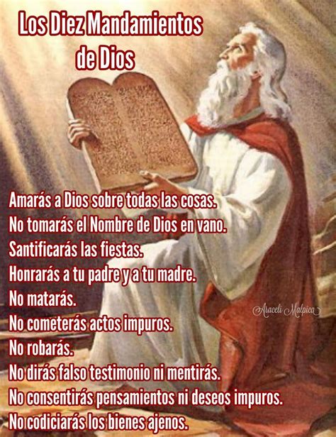 Los Diez Mandamientos De Dios 🌿 Amarás A Dios Sobre Todas Las Cosas No Tomarás El Nombre De