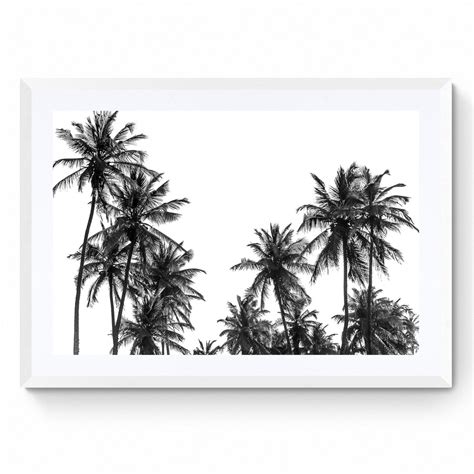 Black And White Palm Tree - Timeless Photography Prints – Gallery Canyons