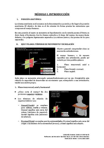 Anatomia Humana 1o Parcial Pdf