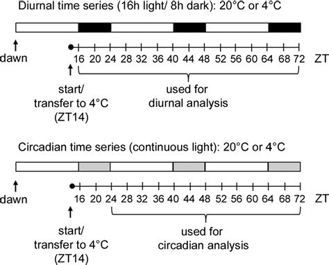 Figure 1 From Interaction With Diurnal And Circadian Regulation Results