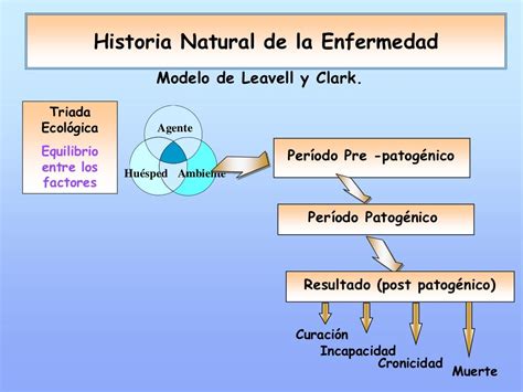 Teórico Historia Natural De La Enfermedad Y Niveles De Prevención