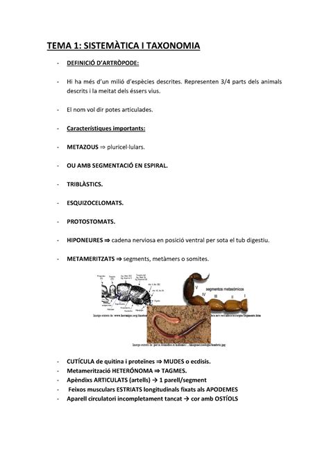 Tema 1 TEMA 1 SISTEMÀTICA I TAXONOMIA DEFINICIÓ DARTRÒPODE Hi