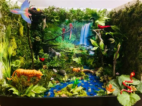 Rainforest Diorama Rainforest Project Rainforest Crafts Habitats Nbkomputer