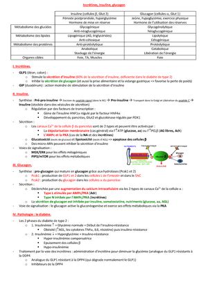 Cours De PACES En Physiologie Fiche De Cours PACES Physiologie