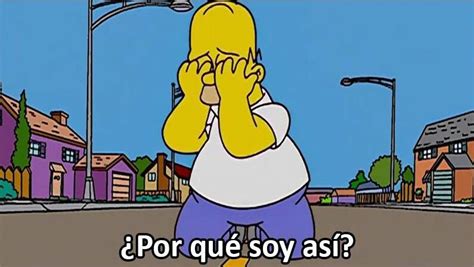 Por Qué Soy Así Memes De Los Simpson Fotos Graciosas Memes Divertidos