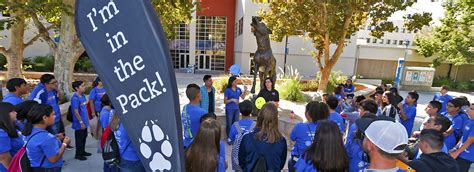 Admissions and Student Recruitment | CSUSB News