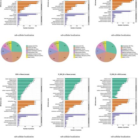 Gene Ontology terms and subcellular localization of proteins in kidney ...