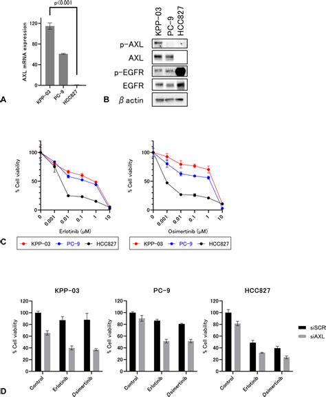 Analysis Of Tumor Heterogeneity Through Axl Activation In Primary