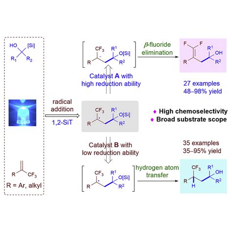 Reductive Quenching Initiated Catalyst Controlled Divergent Alkylation