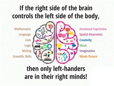 65 Left Handed Facts: Which Ones Are Right? | Facts.net