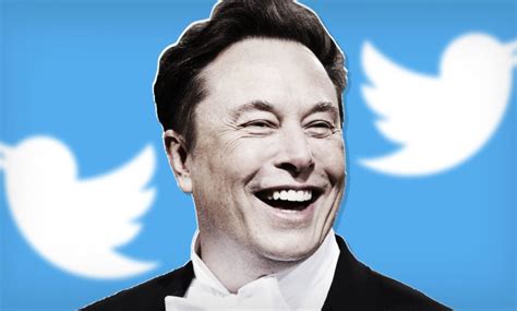 Elon Musk Is The New Boss Of Twitter California News