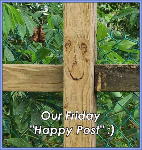 Best Funny tgif Memes - 9GAG