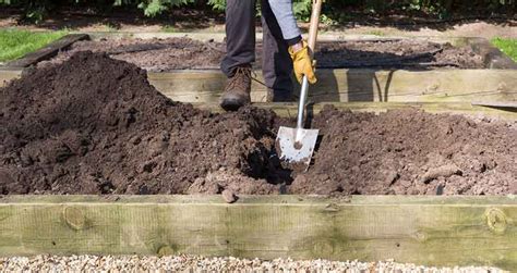 Compost For Raised Beds How To Do It Right