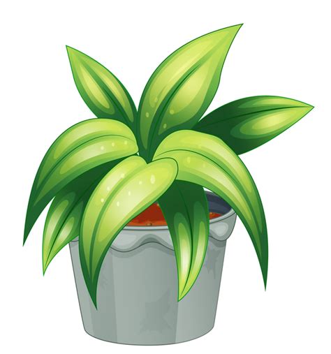 Free Potted Plant Cliparts Download Free Potted Plant Cliparts Png