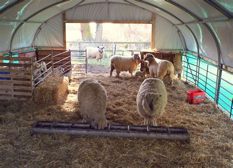 Our New 2016 Lambing Tunnel The Fibre Tree Goat Farming Future